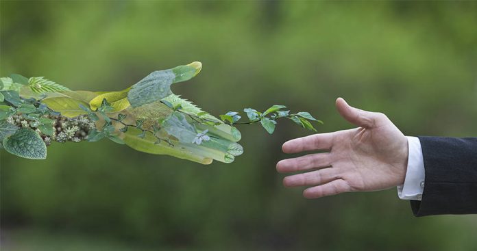 sustainability