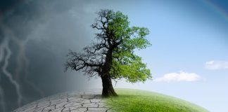 climate awareness