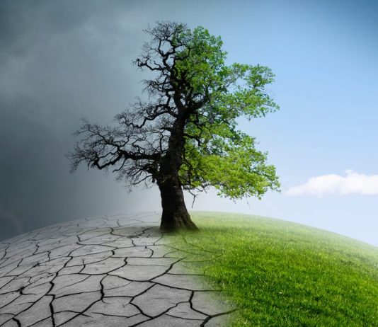 climate awareness