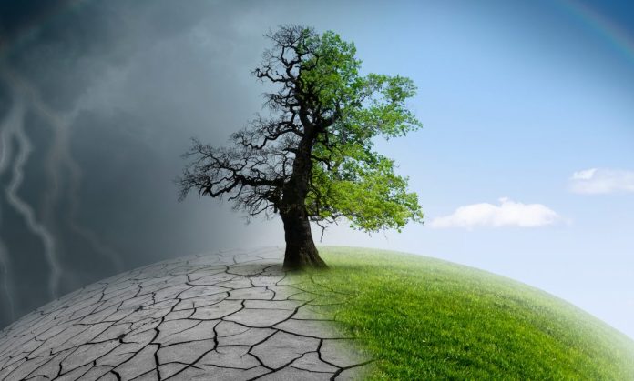 climate awareness
