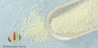 International Year of Millets