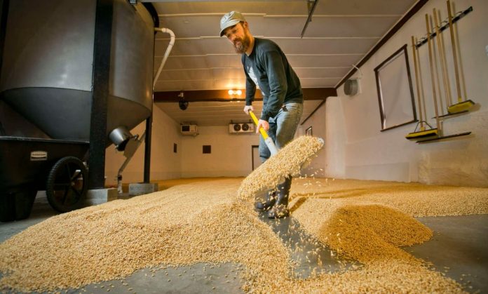 Brewing & Distilling