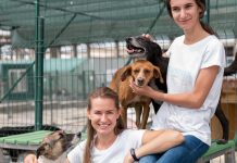 Animals