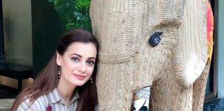 Dia Mirza