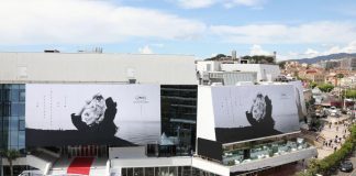 Cannes Film Festival