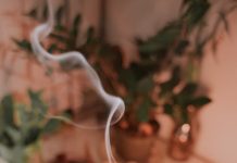Religion and Spirituality