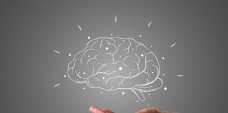 brain