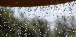 monsoon